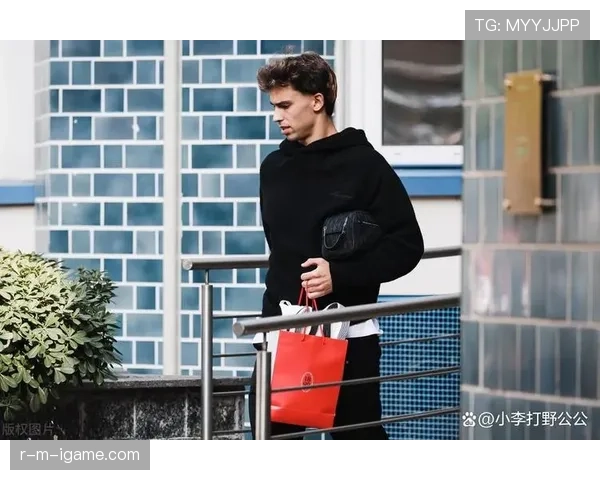 菲利克斯：从天才少年到争议焦点的职业轨迹解析